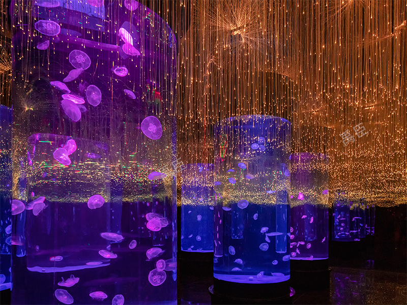 星空吊燈YC-XKDD01.jpg